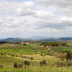 tuscany 228899 1280 1